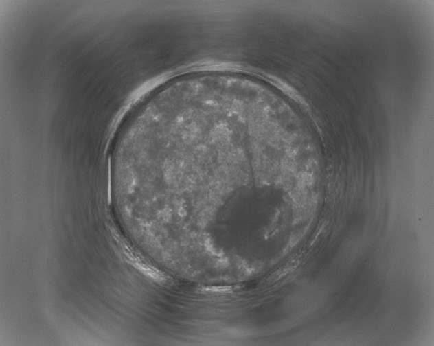 X0000078841223200612111547