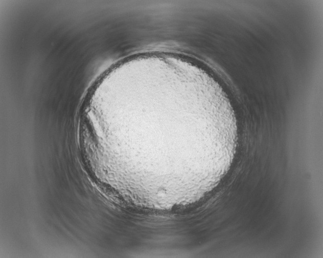 X0000078841224200612111547