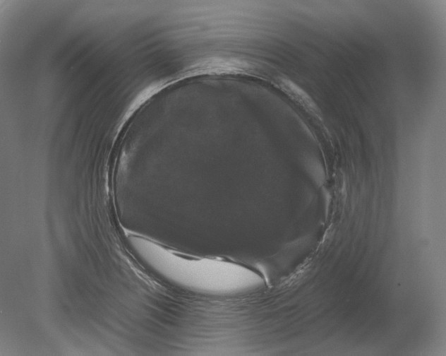 X0000078841226200612111547