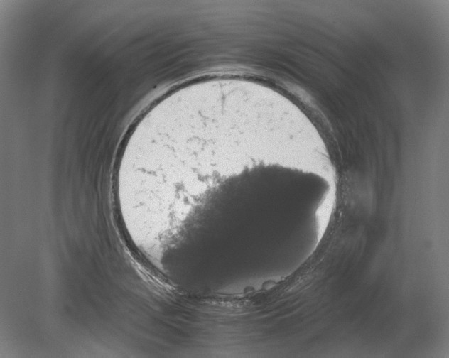 X0000078841229200612111547