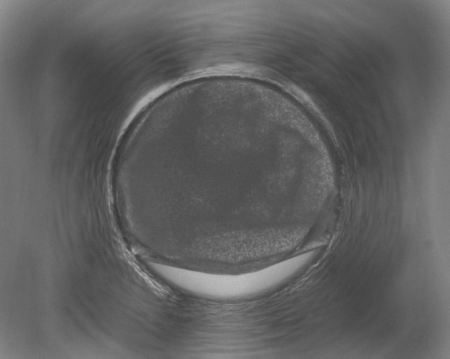 X0000078841230200612111547