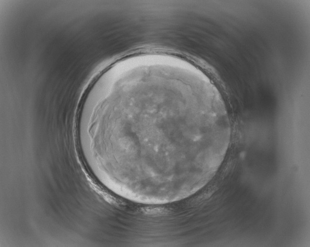 X0000078841231200612111547