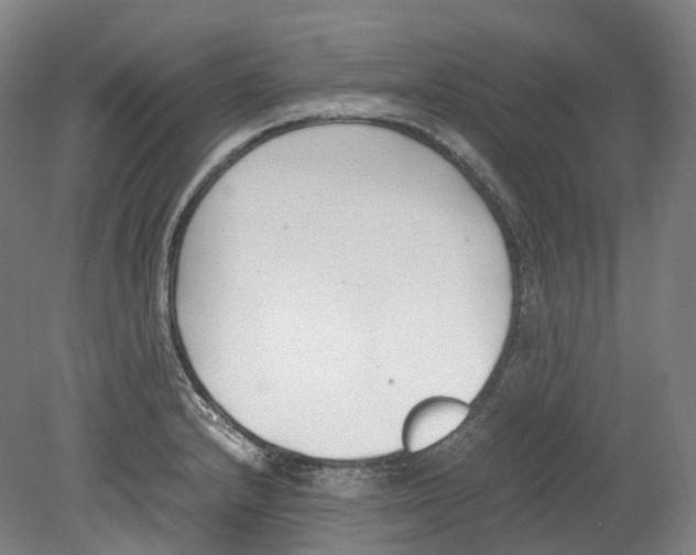 X0000078841232200612111547