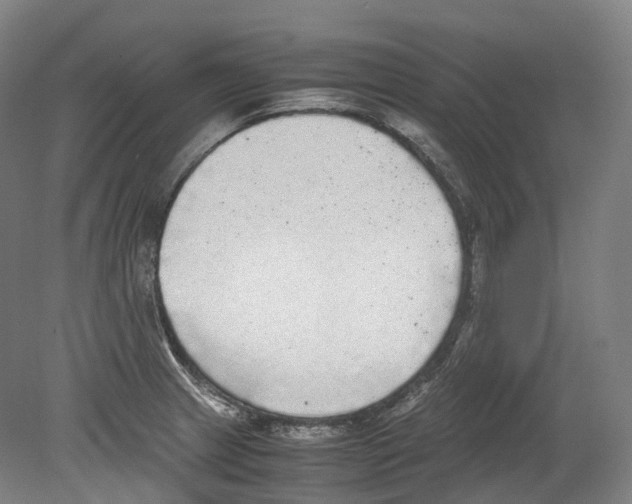 X0000078841233200612111547