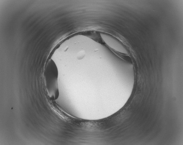 X0000078841234200612111547