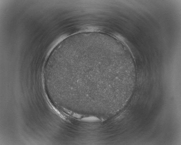 X0000078841235200612111547