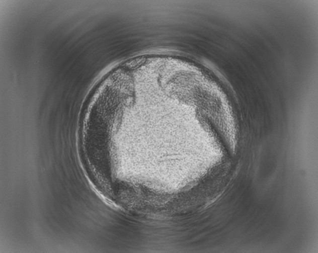 X0000078841237200612111547