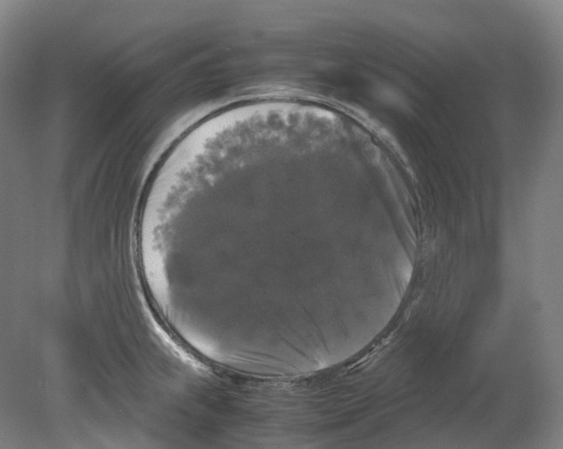 X0000078841239200612111547