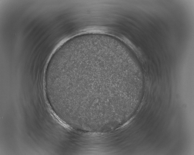 X0000078841240200612111547