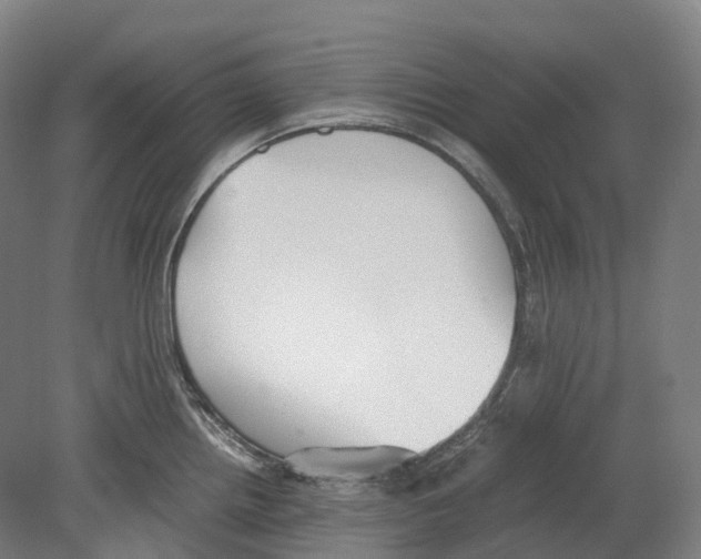 X0000078841242200612111547