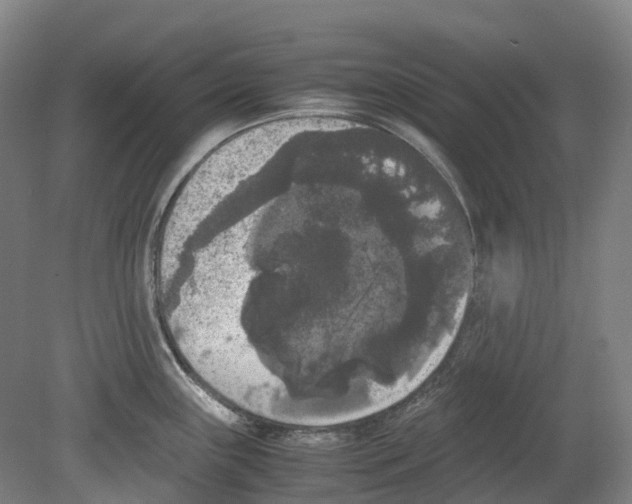 X0000078841243200612111547