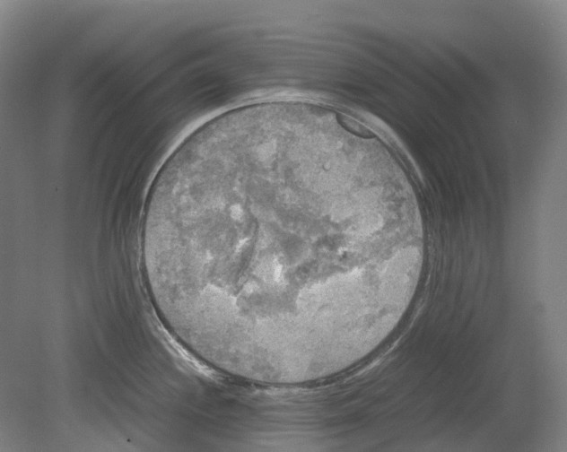 X0000078841244200612111547