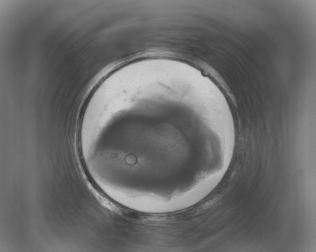 X0000078841245200612111547