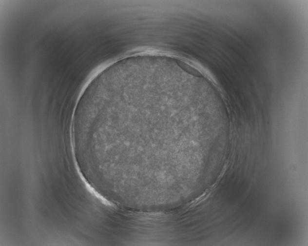 X0000078841247200612111547