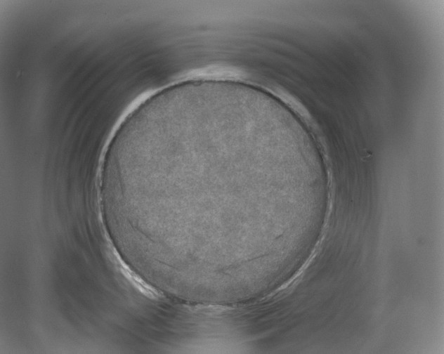 X0000078841248200612111547