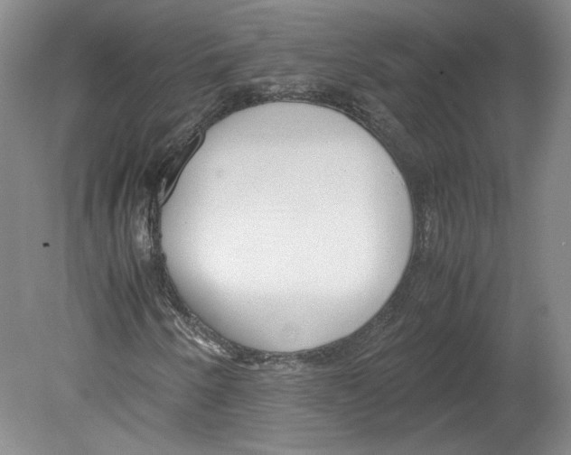 X0000078841250200612111546