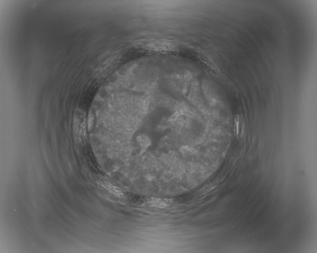 X0000078841251200612111546