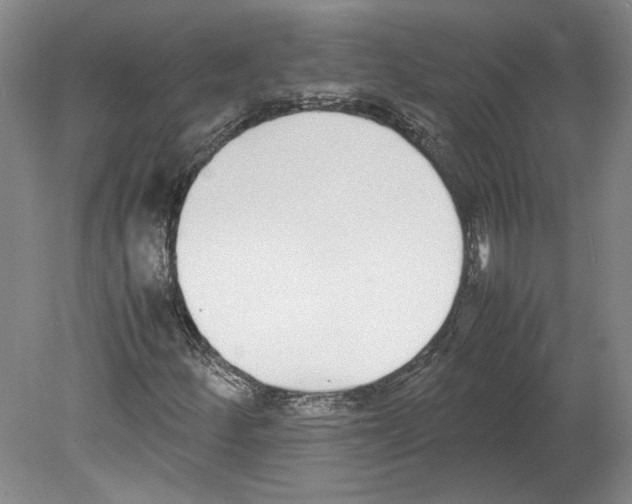 X0000078841252200612111546