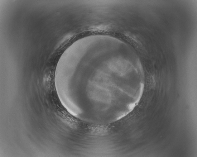 X0000078841254200612111546