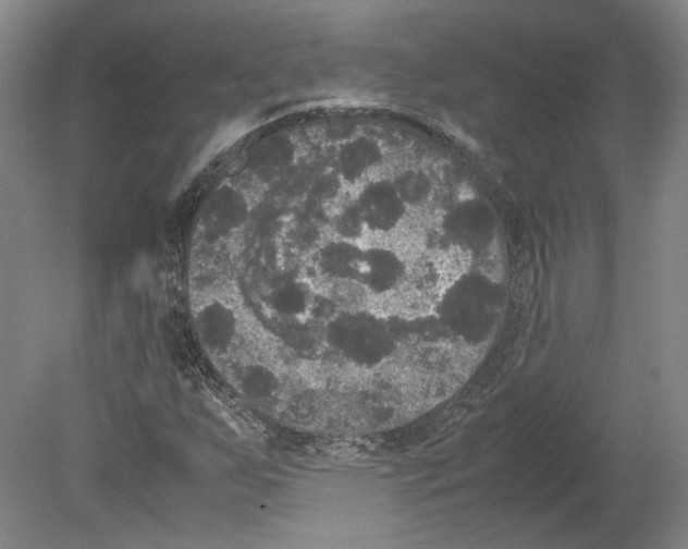 X0000078841255200612111546