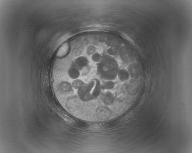 X0000078841259200612111546