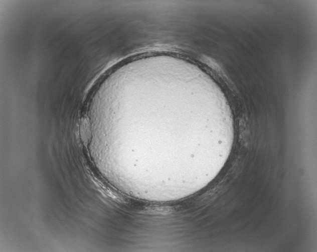 X0000078841260200612111546