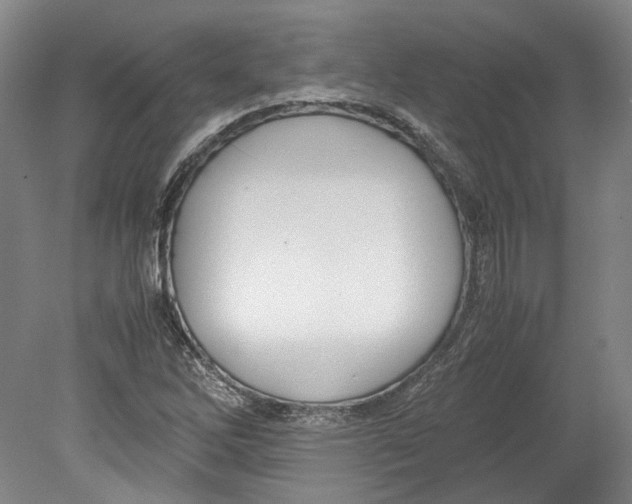 X0000078841262200612111546