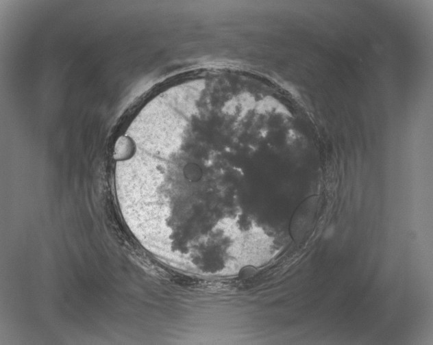 X0000078841263200612111546