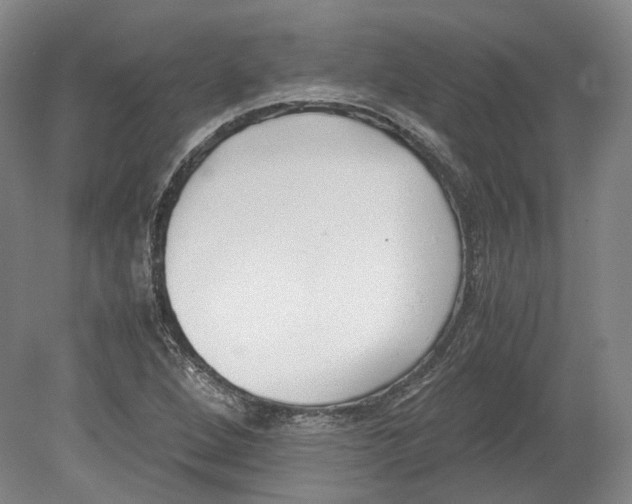 X0000078841264200612111546