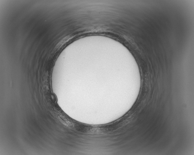 X0000078841265200612111546