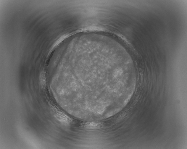 X0000078841266200612111546