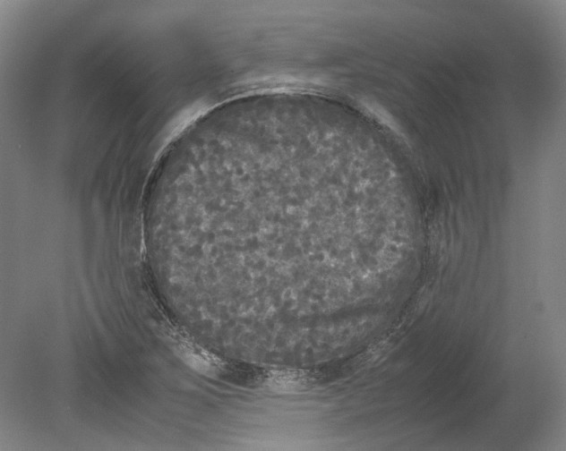 X0000078841267200612111546