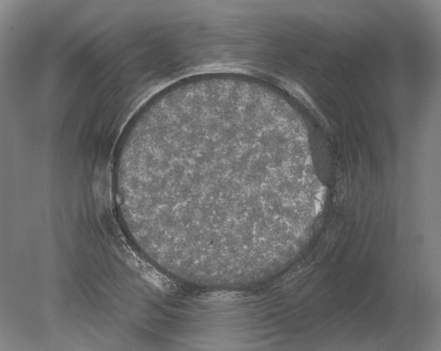 X0000078841268200612111546