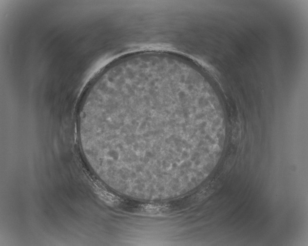 X0000078841271200612111546