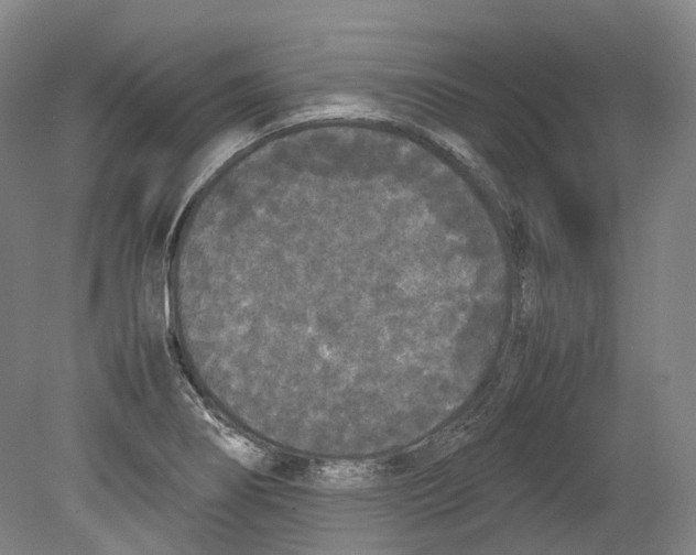 X0000078841274200612111546