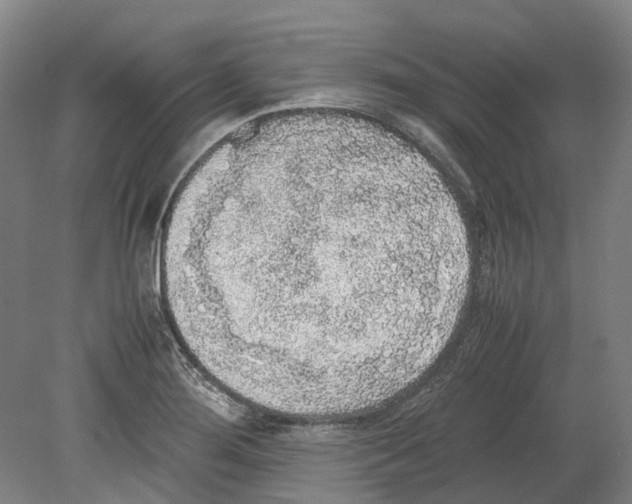 X0000078841276200612111546