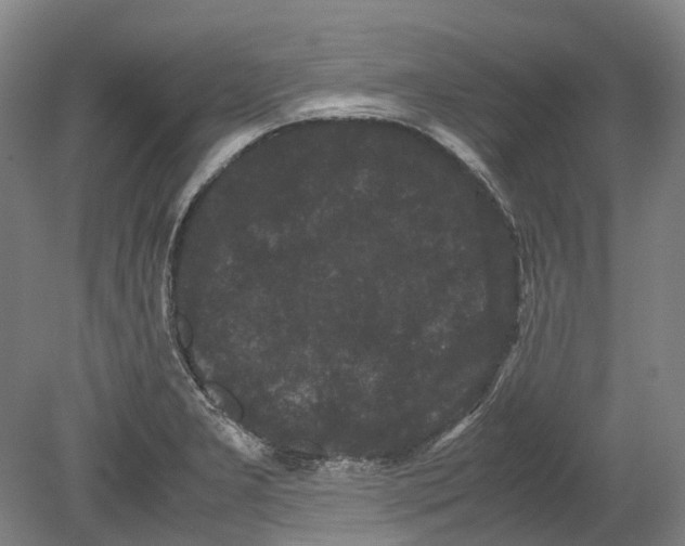 X0000078841277200612111546