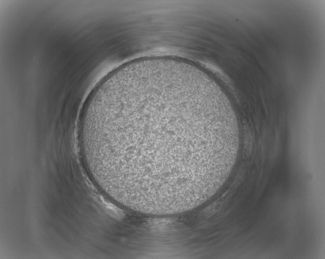 X0000078841278200612111546