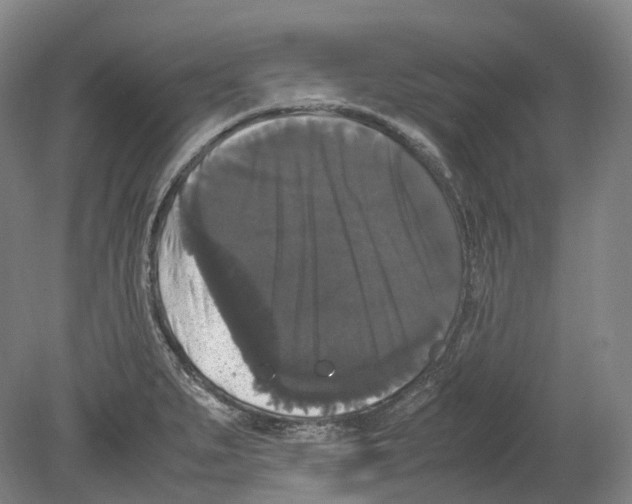 X0000078841279200612111546