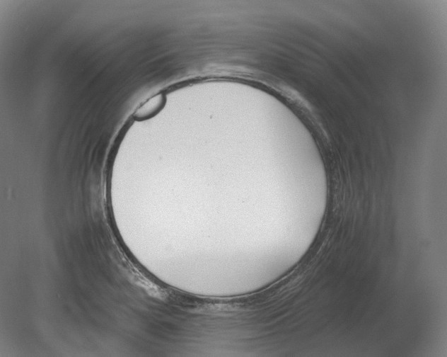 X0000078841280200612111546