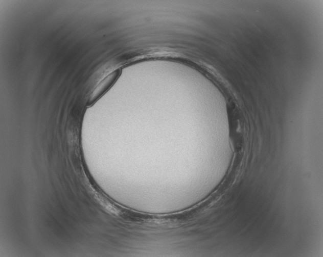 X0000078841281200612111546