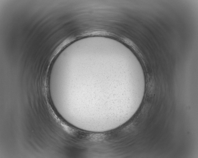 X0000078841282200612111546