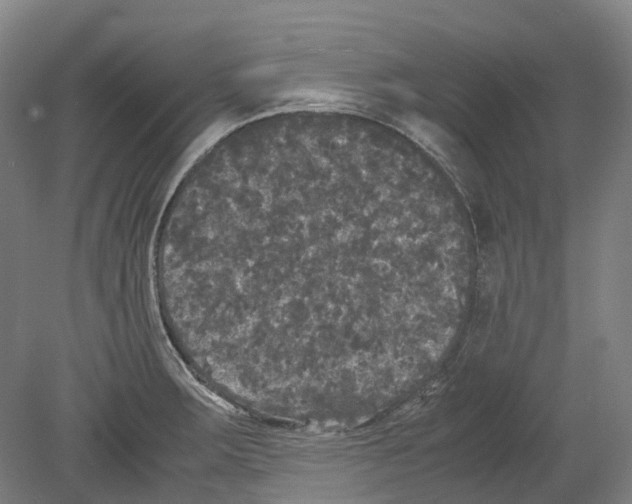 X0000078841283200612111546