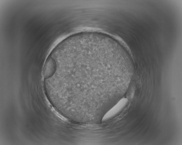 X0000078841287200612111546