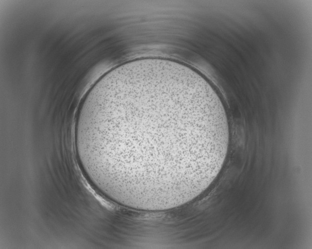 X0000078841290200612111546