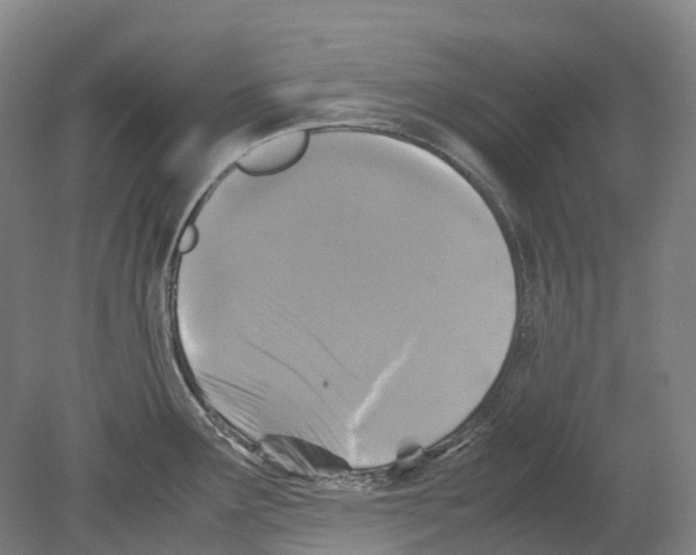 X0000078841291200612111546