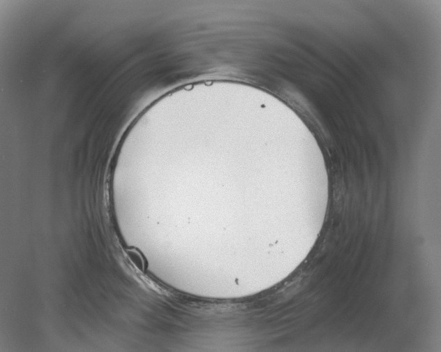 X0000078841292200612111546