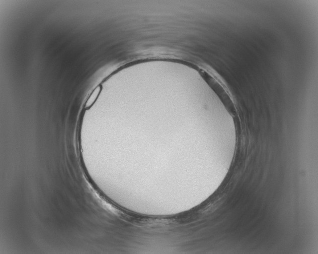 X0000078841293200612111546