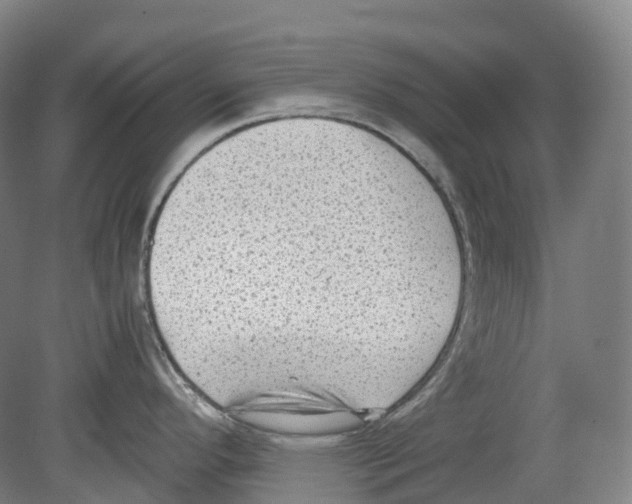 X0000078841296200612111546