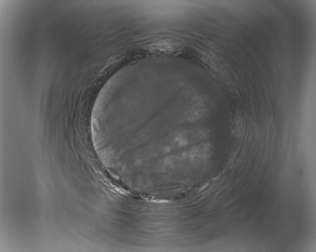 X0000078841297200612111545